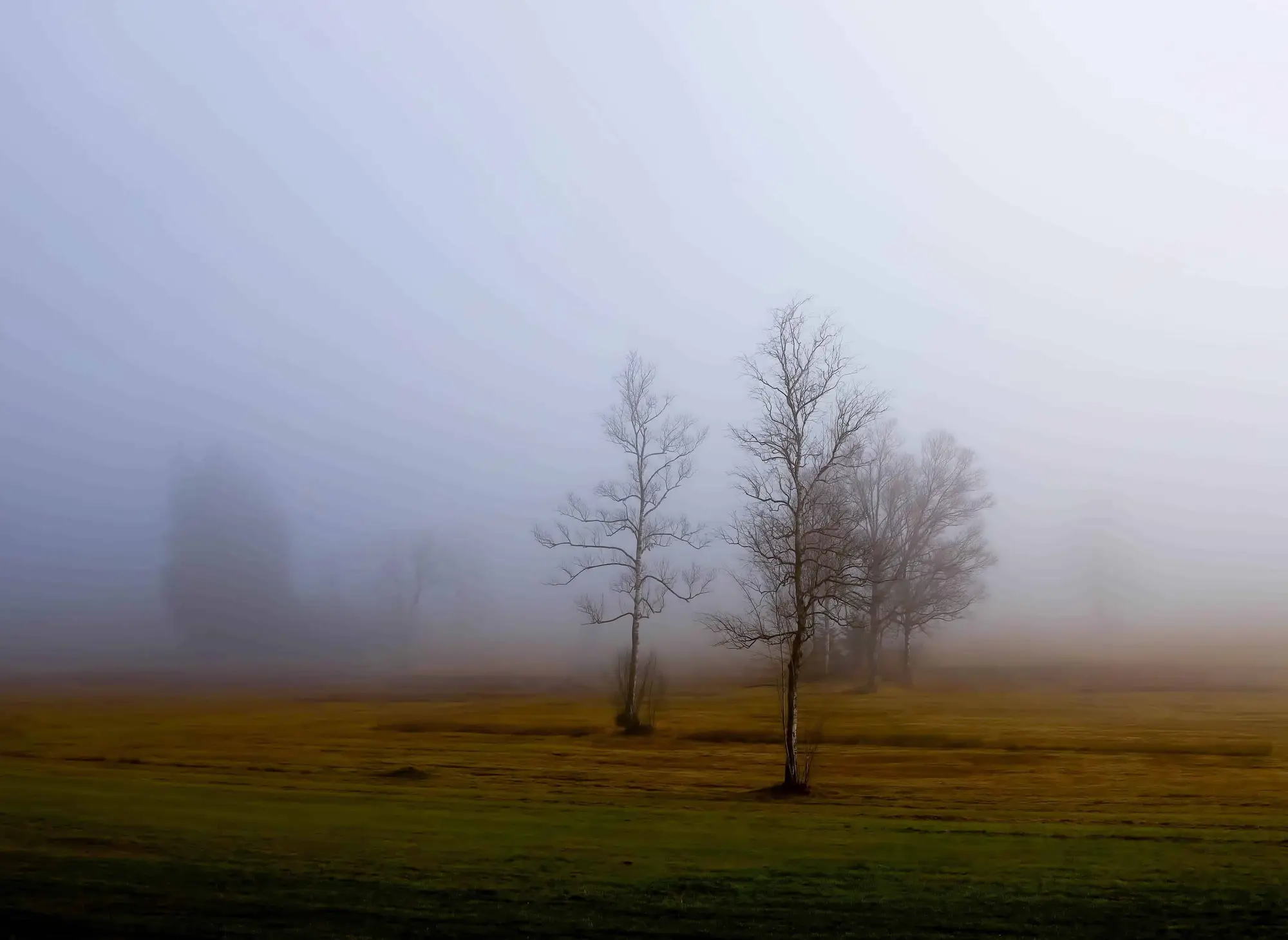 Landschaft in Günzburg als Symbol für Abschied und Erinnerung