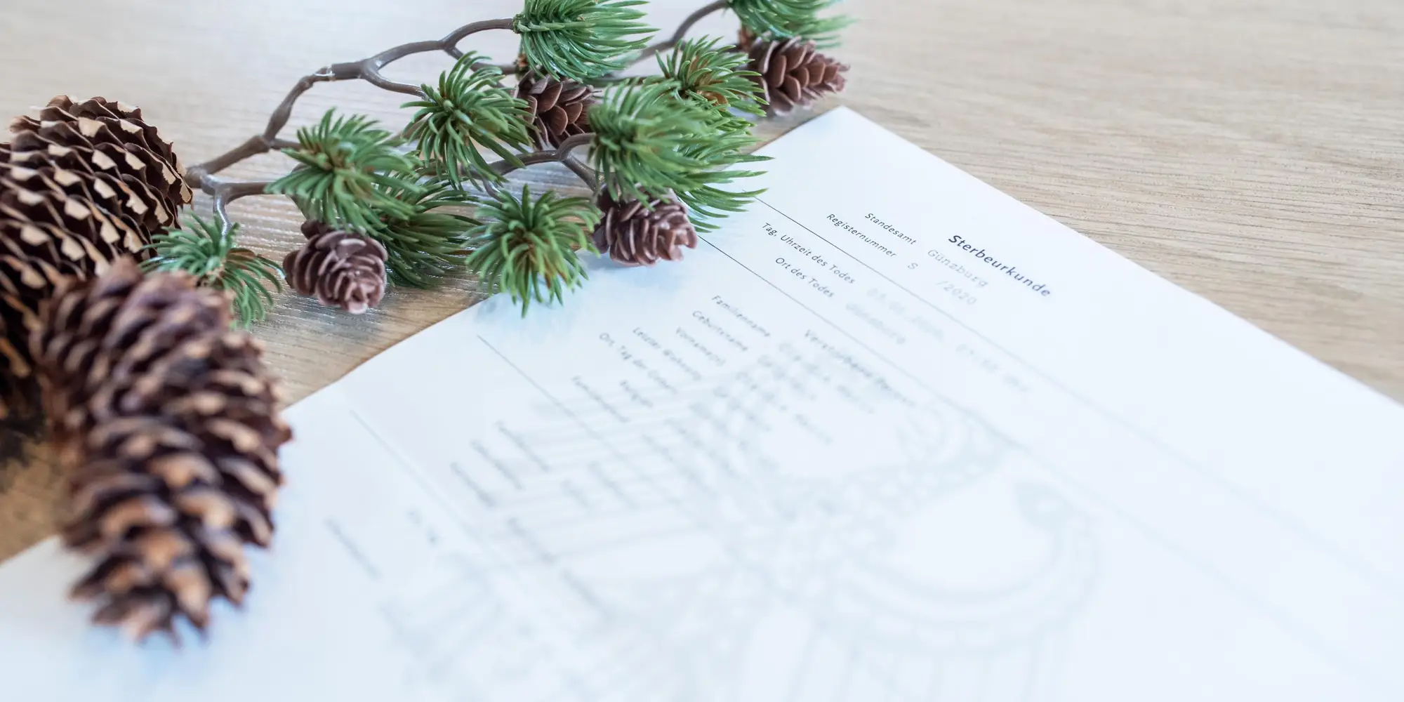 Dokumente und Informationsmaterial zur Bestattung