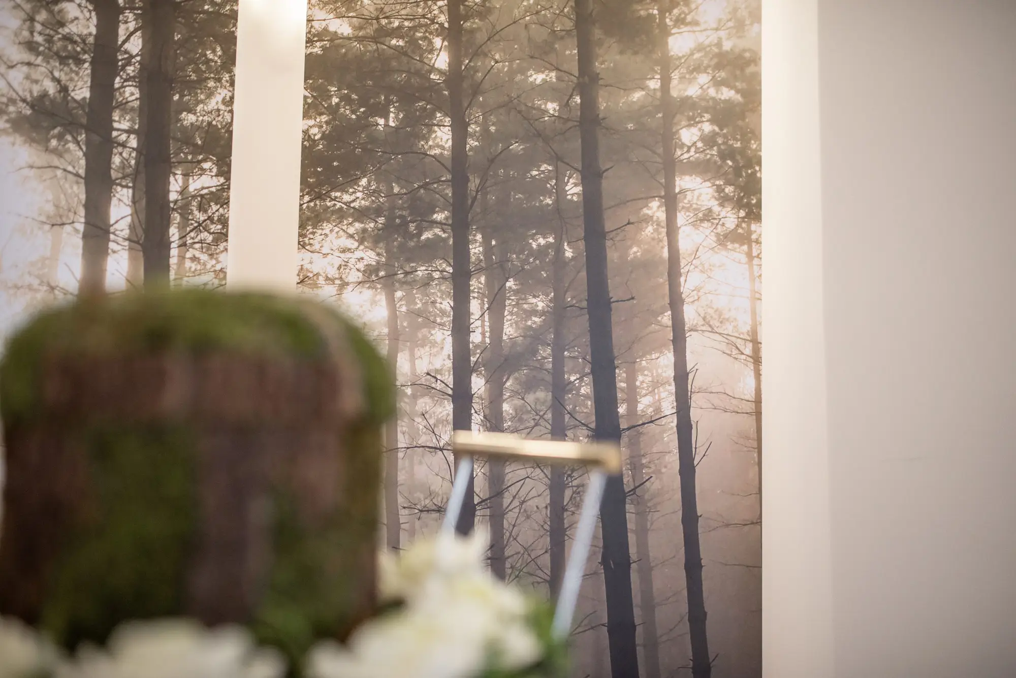 Naturmotive bei Bestattungen in Deutschland – Waldfoto mit Baumstamm und Blüten, symbolisch für Trauer und Erinnerung.